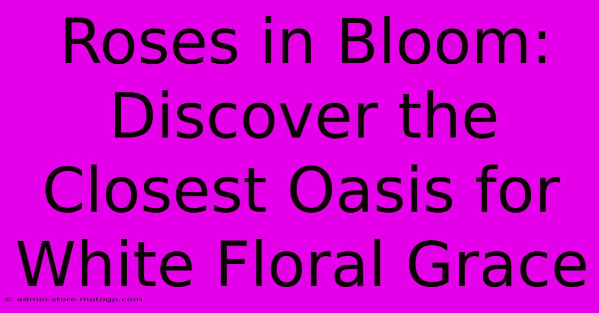 Roses In Bloom: Discover The Closest Oasis For White Floral Grace