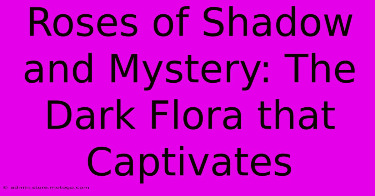 Roses Of Shadow And Mystery: The Dark Flora That Captivates