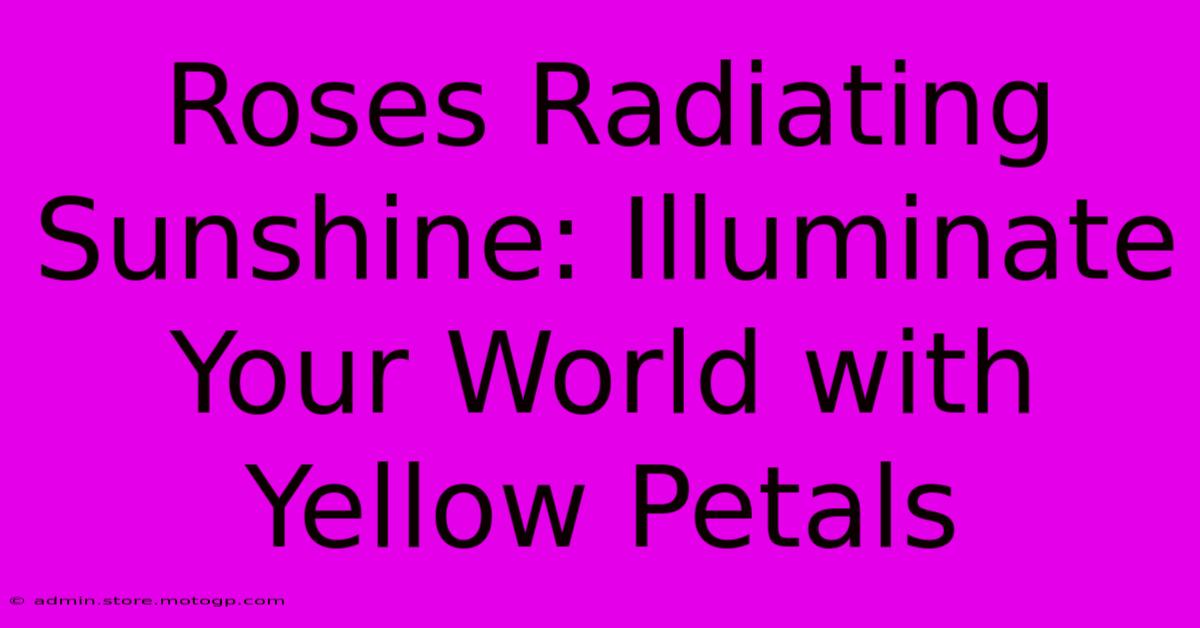 Roses Radiating Sunshine: Illuminate Your World With Yellow Petals