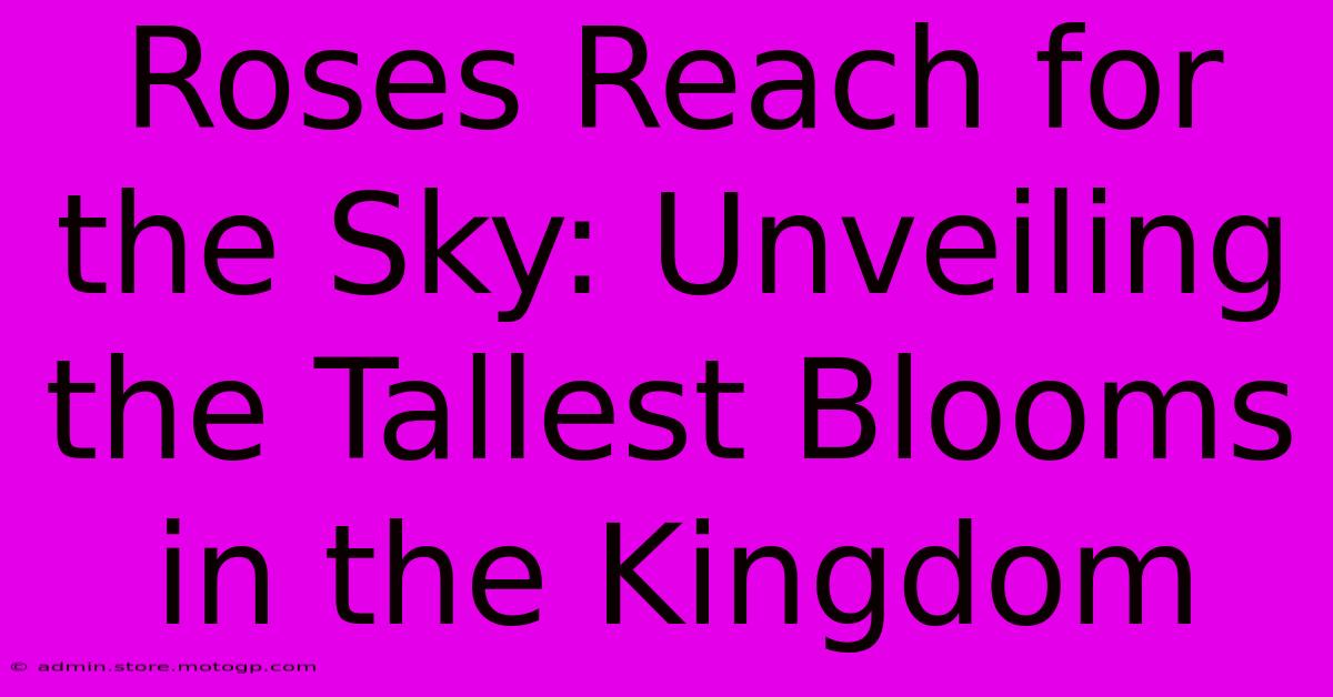 Roses Reach For The Sky: Unveiling The Tallest Blooms In The Kingdom