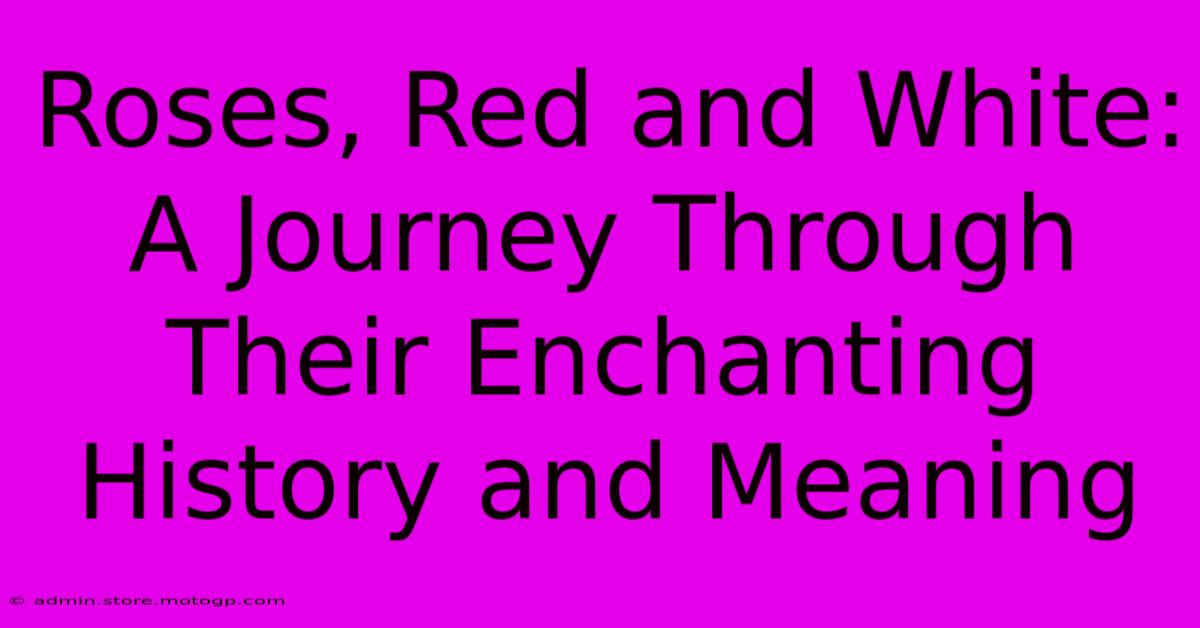 Roses, Red And White: A Journey Through Their Enchanting History And Meaning