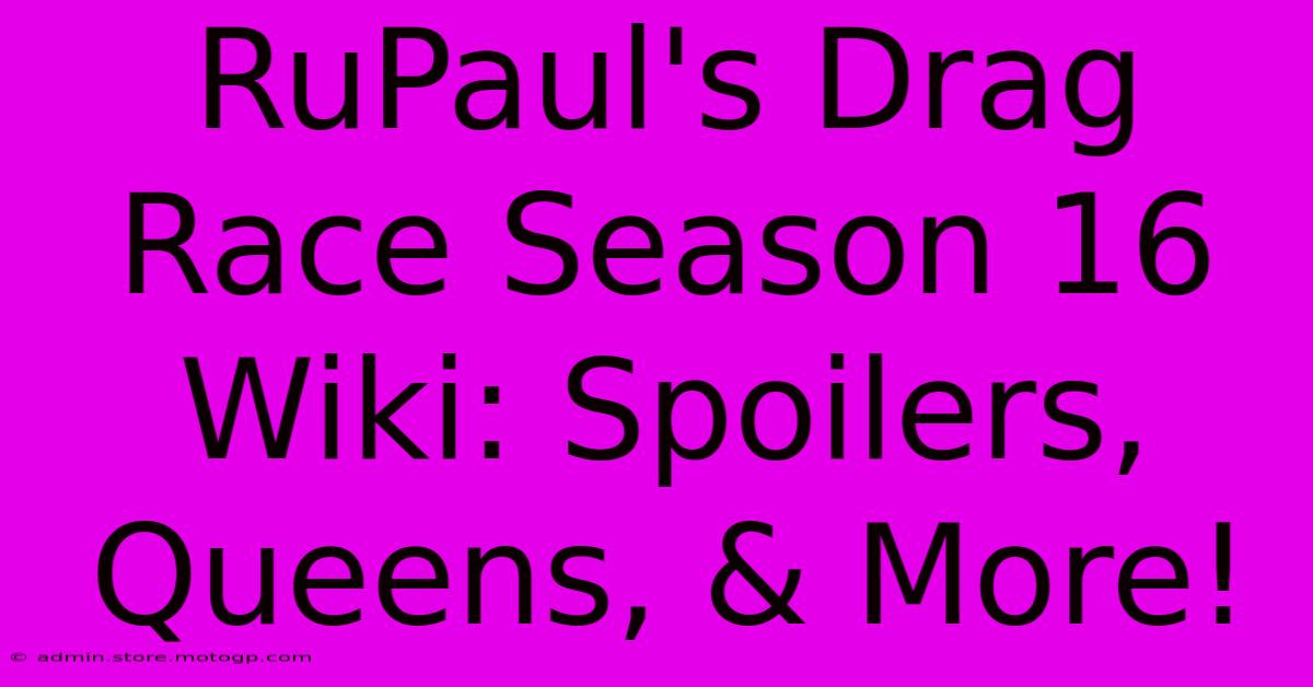 RuPaul's Drag Race Season 16 Wiki: Spoilers, Queens, & More!