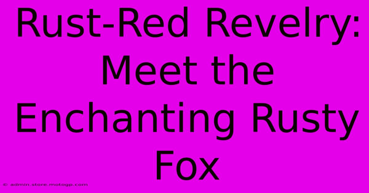 Rust-Red Revelry: Meet The Enchanting Rusty Fox