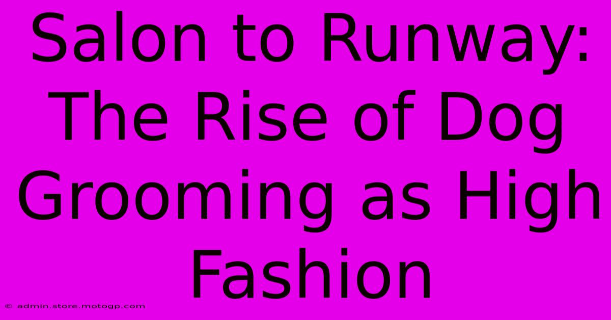 Salon To Runway: The Rise Of Dog Grooming As High Fashion