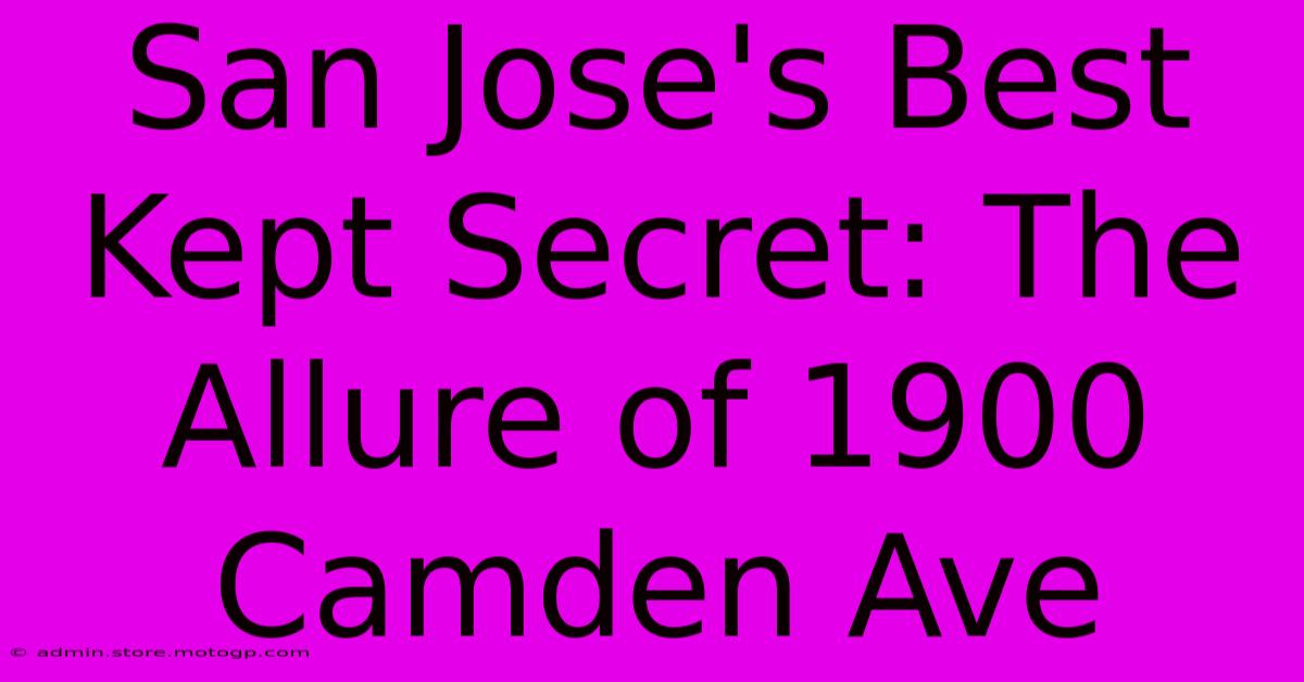 San Jose's Best Kept Secret: The Allure Of 1900 Camden Ave