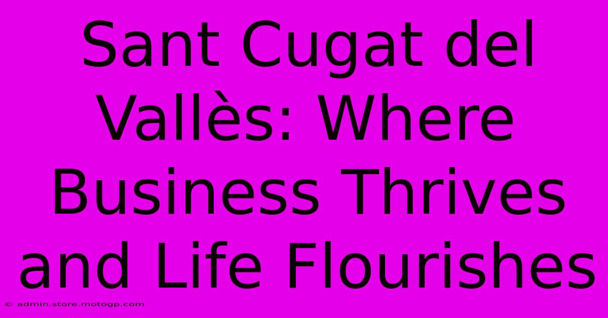 Sant Cugat Del Vallès: Where Business Thrives And Life Flourishes