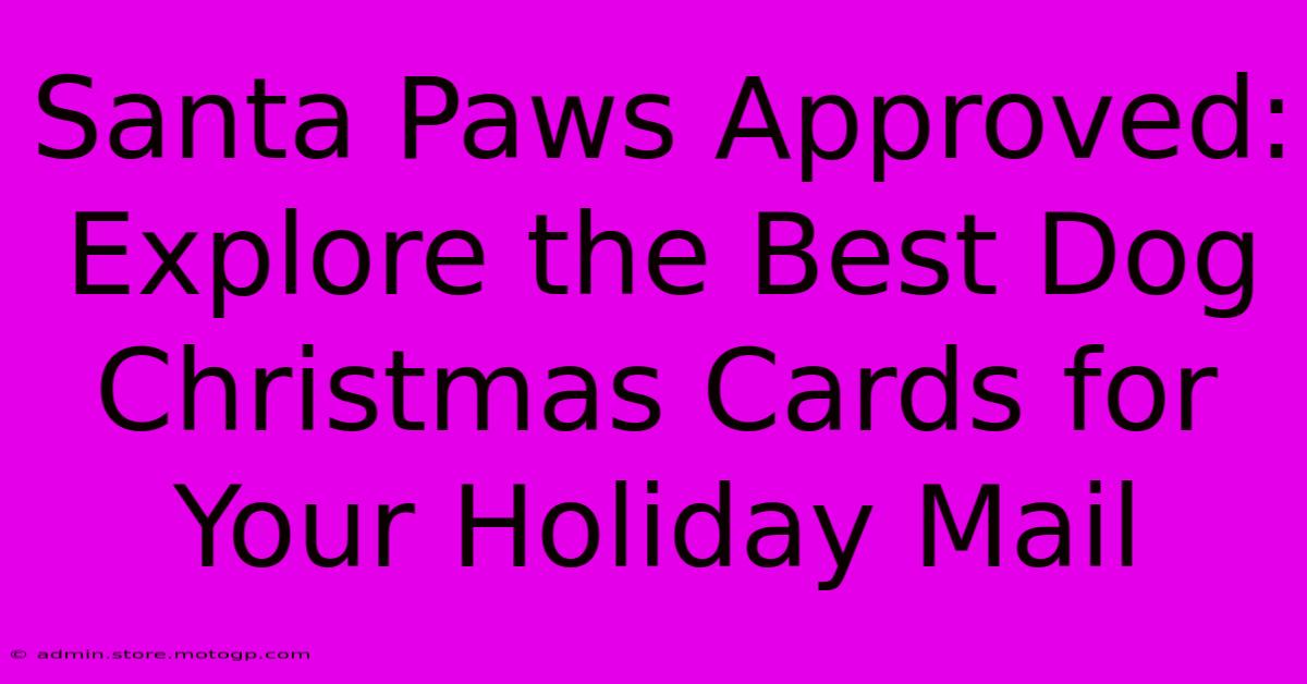 Santa Paws Approved: Explore The Best Dog Christmas Cards For Your Holiday Mail