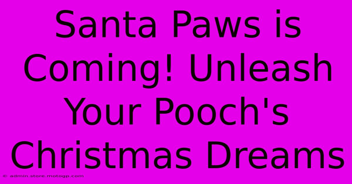 Santa Paws Is Coming! Unleash Your Pooch's Christmas Dreams