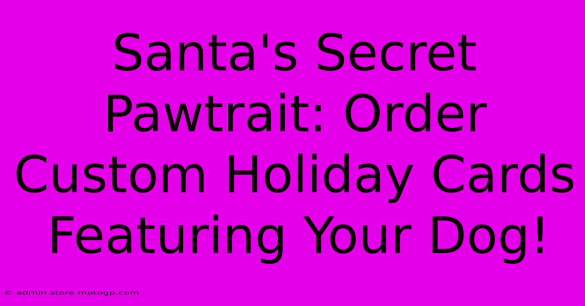 Santa's Secret Pawtrait: Order Custom Holiday Cards Featuring Your Dog!