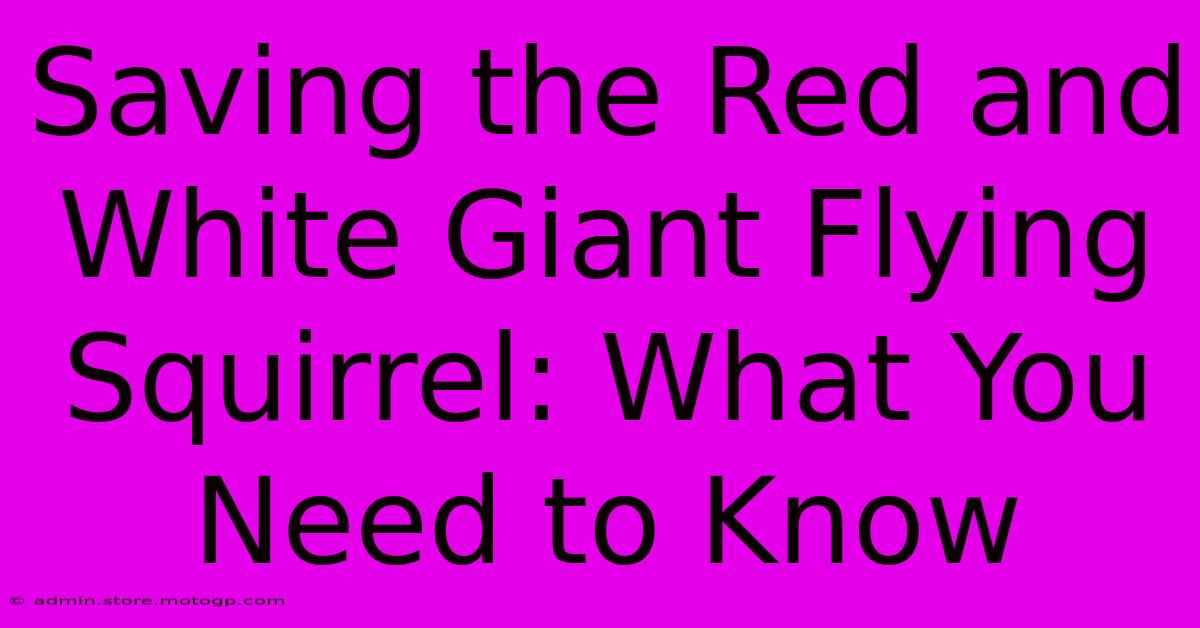 Saving The Red And White Giant Flying Squirrel: What You Need To Know