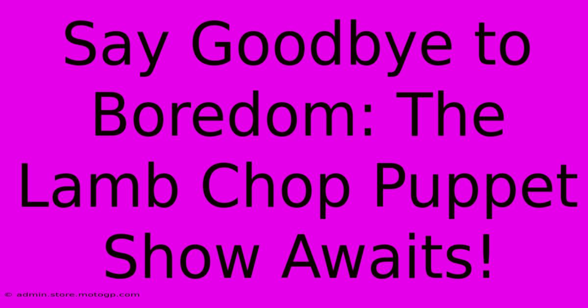 Say Goodbye To Boredom: The Lamb Chop Puppet Show Awaits!