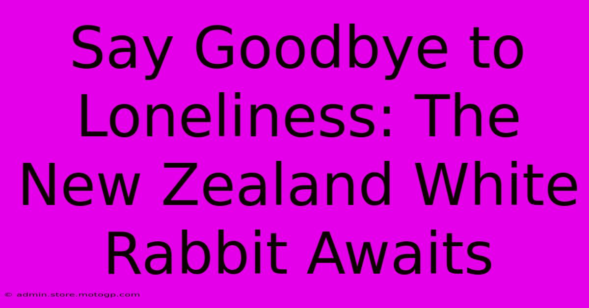 Say Goodbye To Loneliness: The New Zealand White Rabbit Awaits