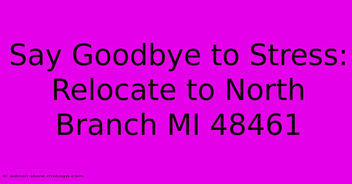 Say Goodbye To Stress:  Relocate To North Branch MI 48461