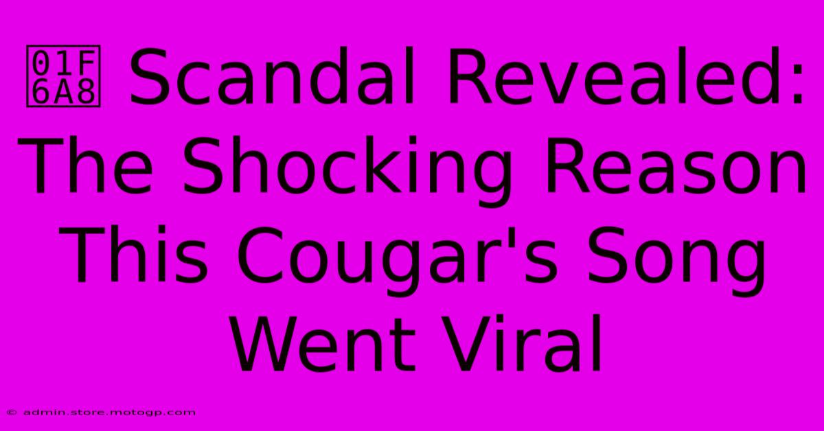 🚨 Scandal Revealed: The Shocking Reason This Cougar's Song Went Viral