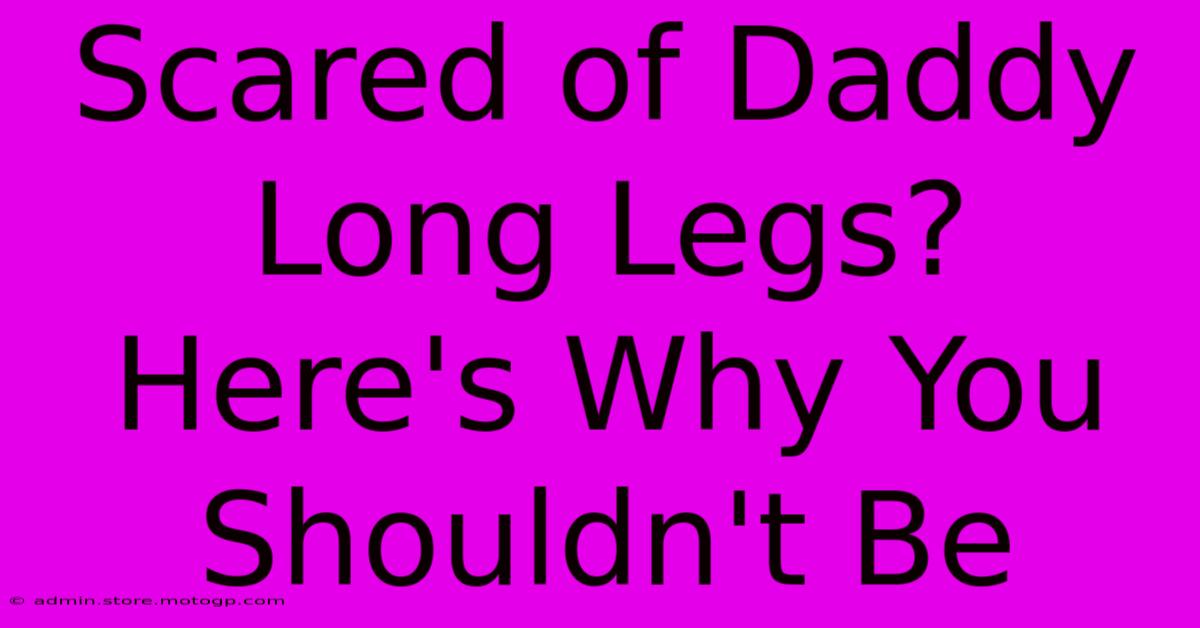 Scared Of Daddy Long Legs? Here's Why You Shouldn't Be