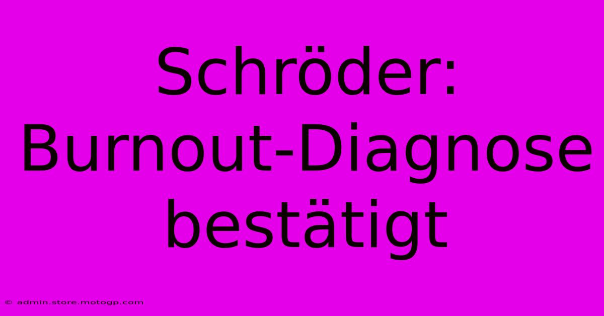 Schröder: Burnout-Diagnose Bestätigt