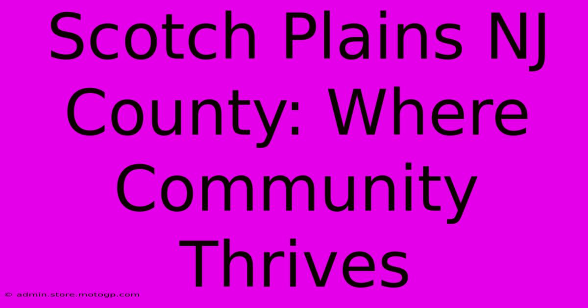 Scotch Plains NJ County: Where Community Thrives