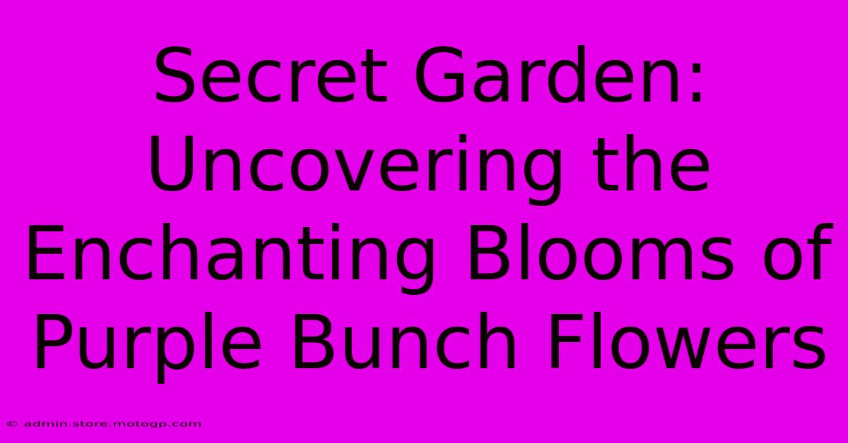 Secret Garden: Uncovering The Enchanting Blooms Of Purple Bunch Flowers