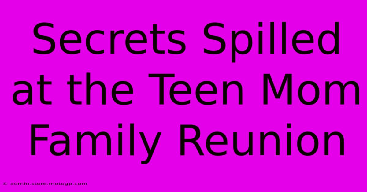 Secrets Spilled At The Teen Mom Family Reunion