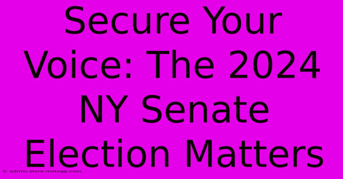 Secure Your Voice: The 2024 NY Senate Election Matters