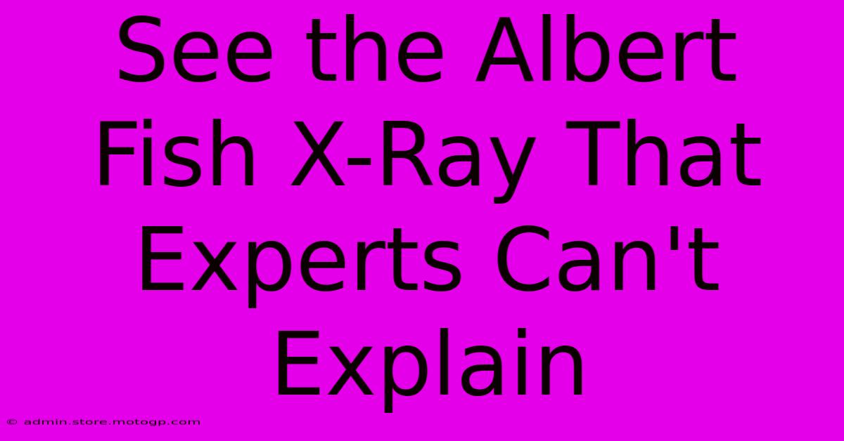 See The Albert Fish X-Ray That Experts Can't Explain