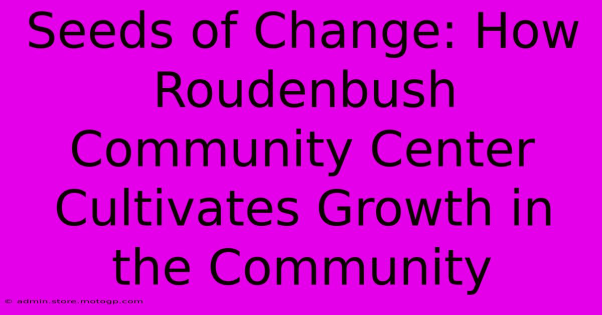 Seeds Of Change: How Roudenbush Community Center Cultivates Growth In The Community