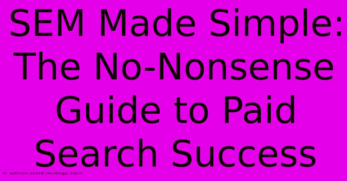 SEM Made Simple: The No-Nonsense Guide To Paid Search Success