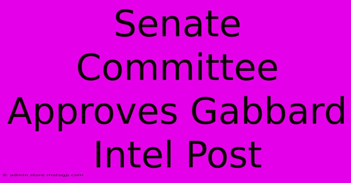 Senate Committee Approves Gabbard Intel Post