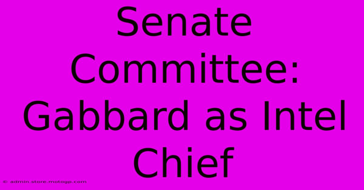 Senate Committee: Gabbard As Intel Chief