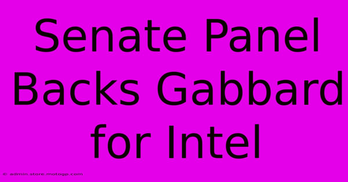 Senate Panel Backs Gabbard For Intel