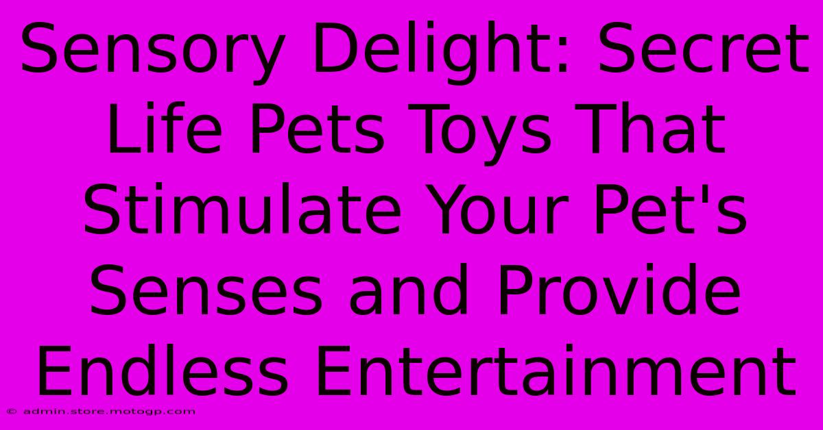 Sensory Delight: Secret Life Pets Toys That Stimulate Your Pet's Senses And Provide Endless Entertainment