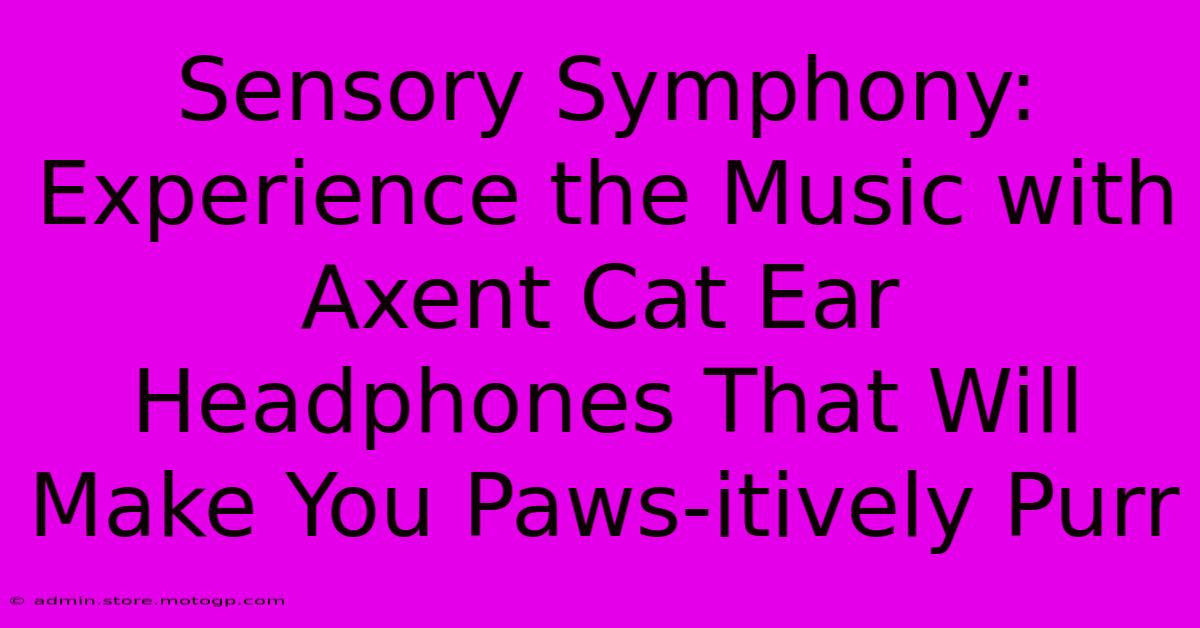 Sensory Symphony: Experience The Music With Axent Cat Ear Headphones That Will Make You Paws-itively Purr