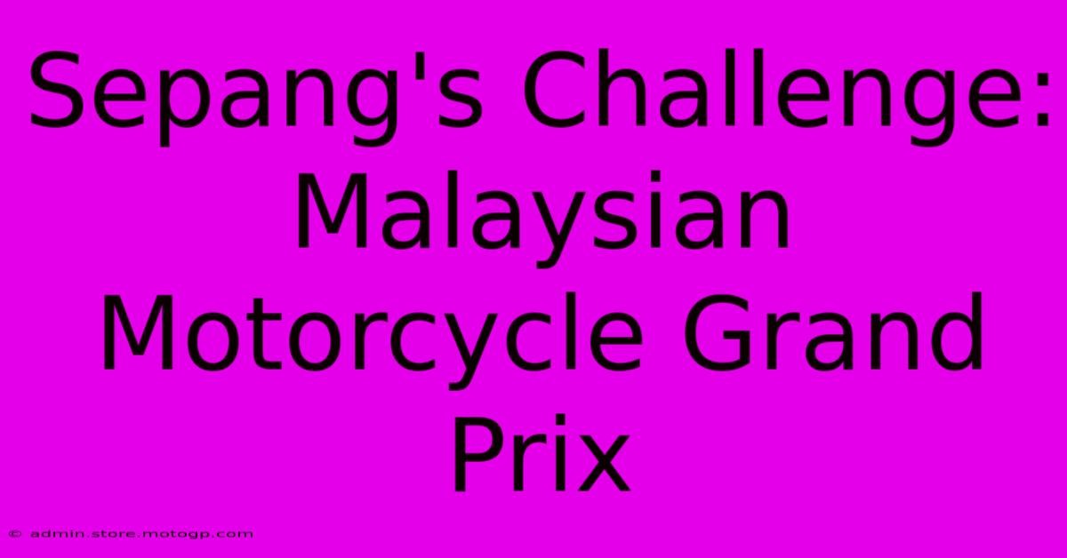 Sepang's Challenge: Malaysian Motorcycle Grand Prix