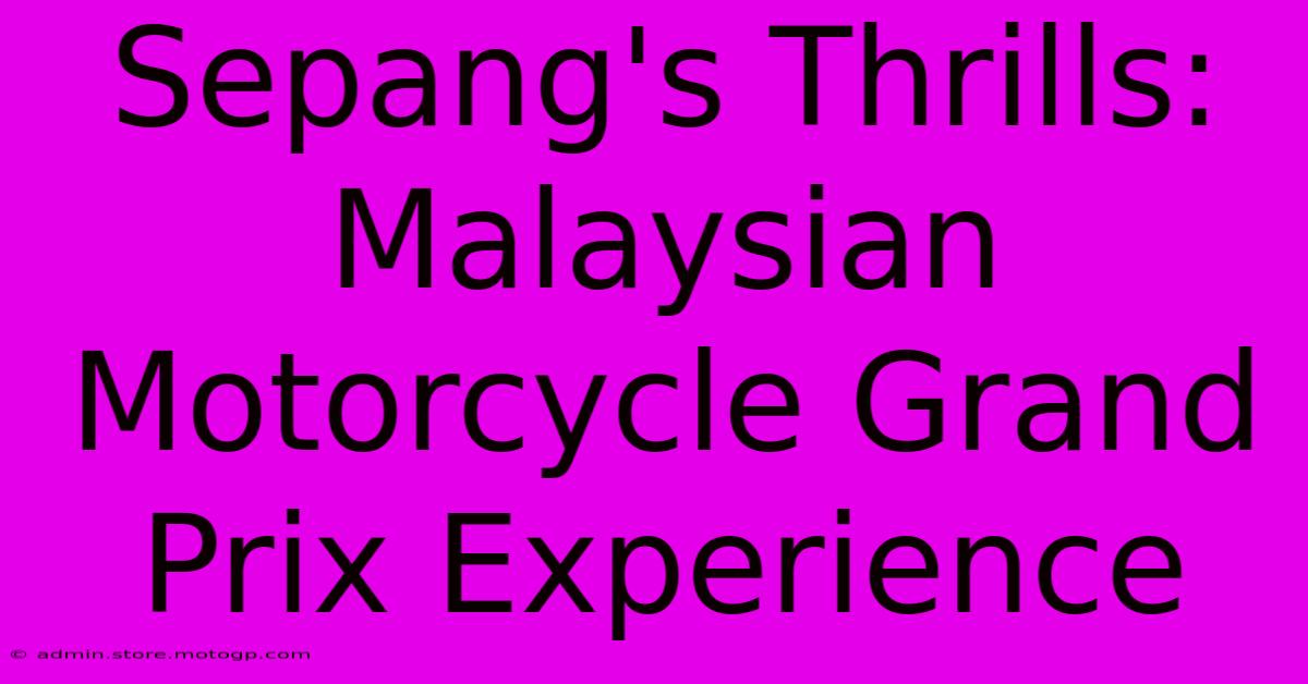 Sepang's Thrills: Malaysian Motorcycle Grand Prix Experience