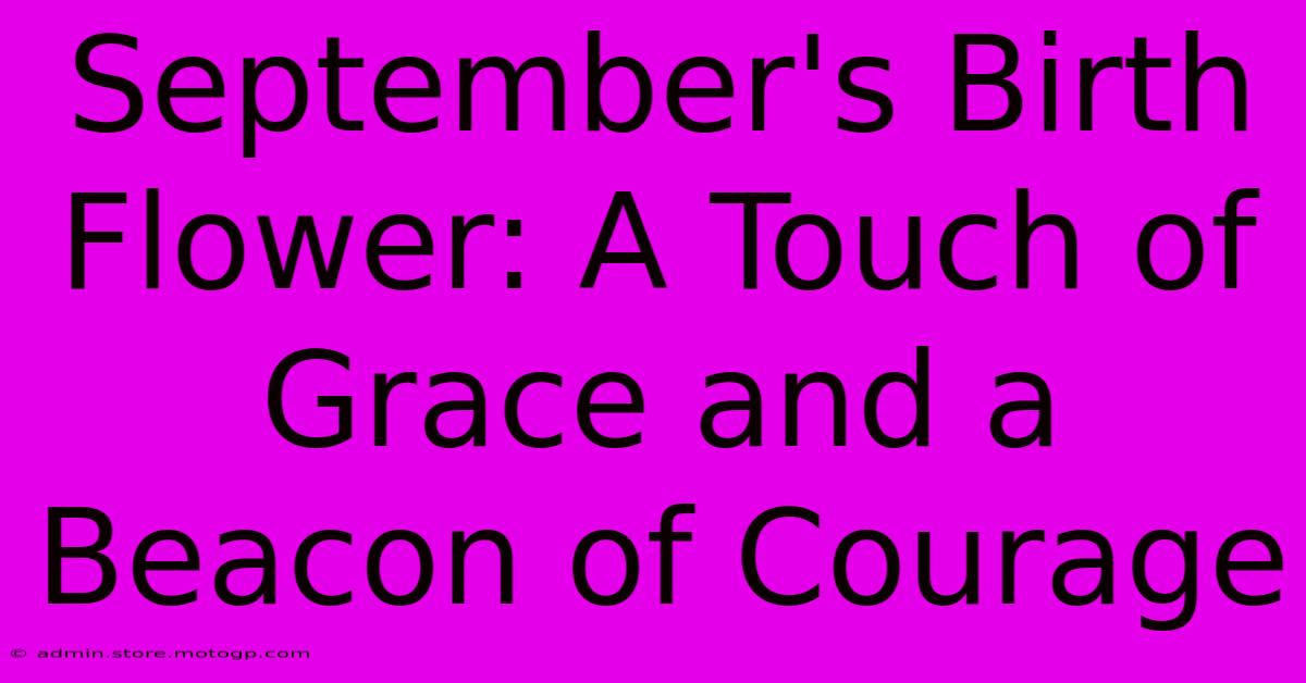 September's Birth Flower: A Touch Of Grace And A Beacon Of Courage