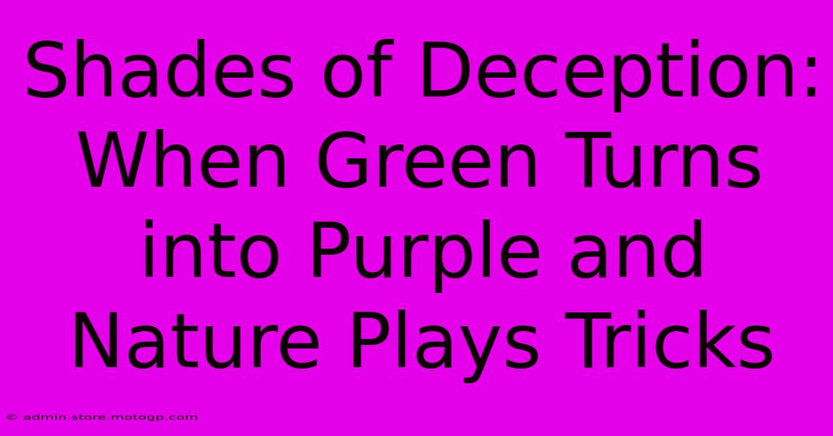 Shades Of Deception: When Green Turns Into Purple And Nature Plays Tricks