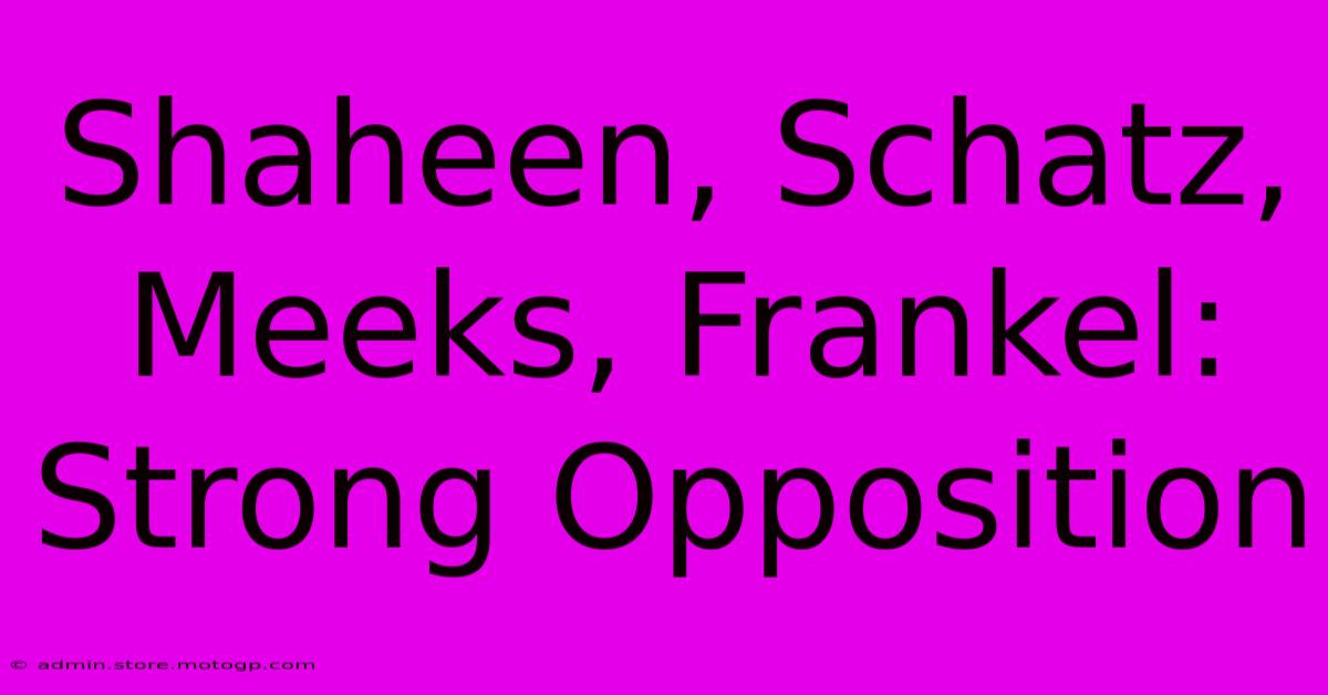 Shaheen, Schatz, Meeks, Frankel: Strong Opposition