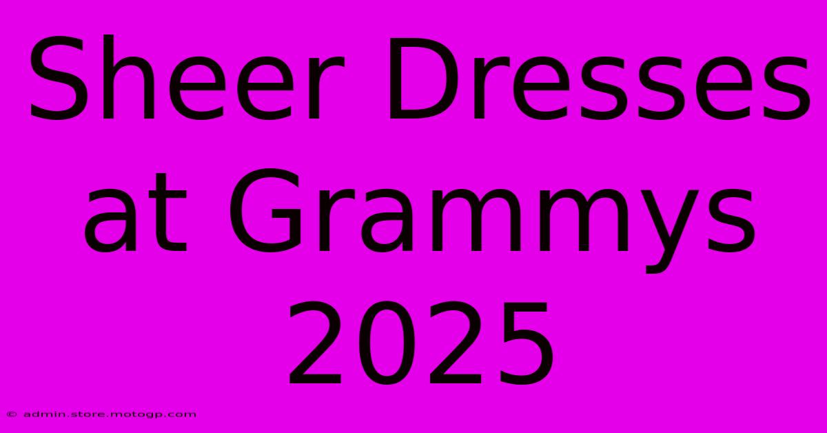 Sheer Dresses At Grammys 2025