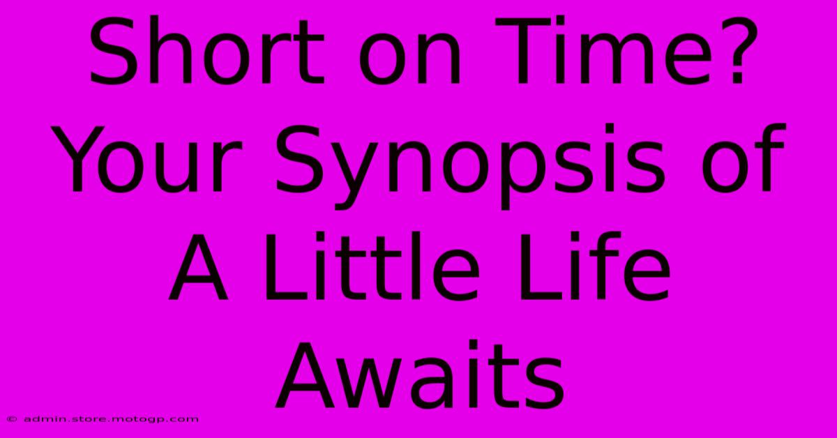 Short On Time? Your Synopsis Of A Little Life Awaits