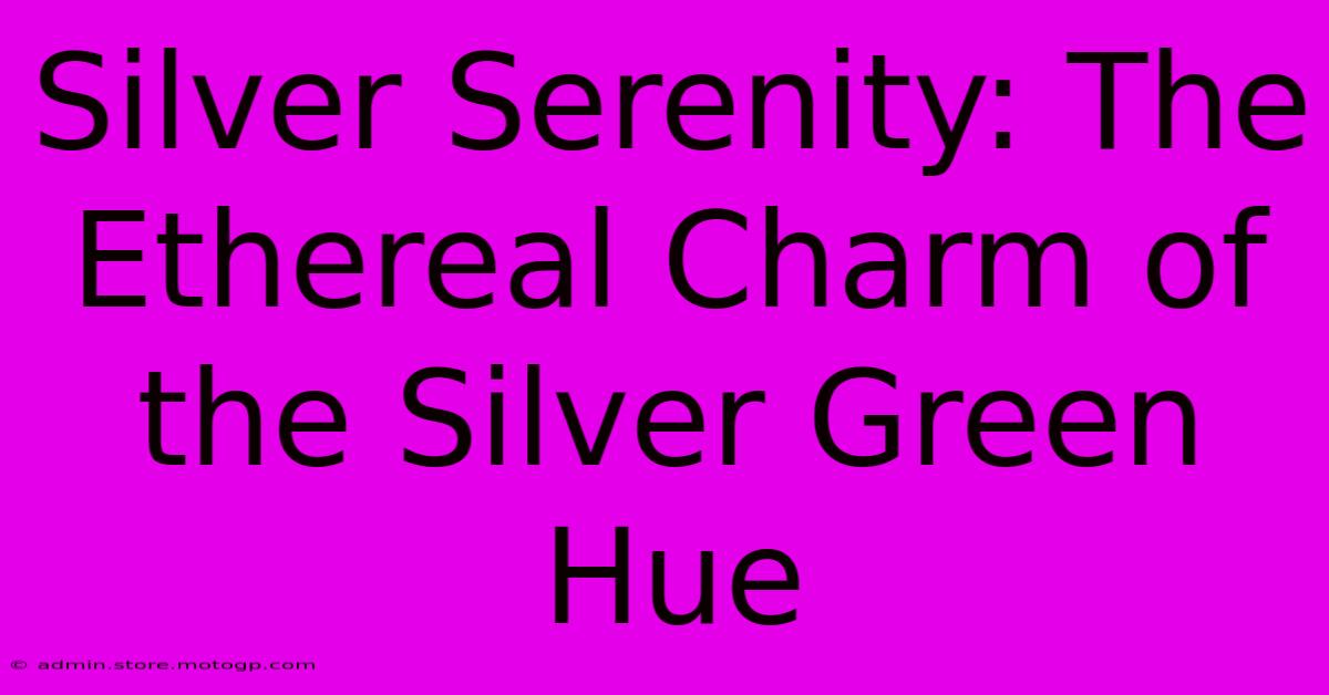 Silver Serenity: The Ethereal Charm Of The Silver Green Hue