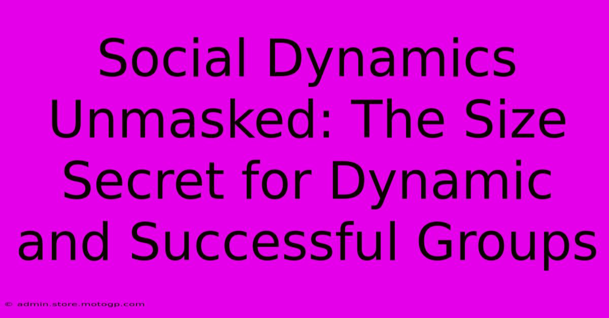 Social Dynamics Unmasked: The Size Secret For Dynamic And Successful Groups