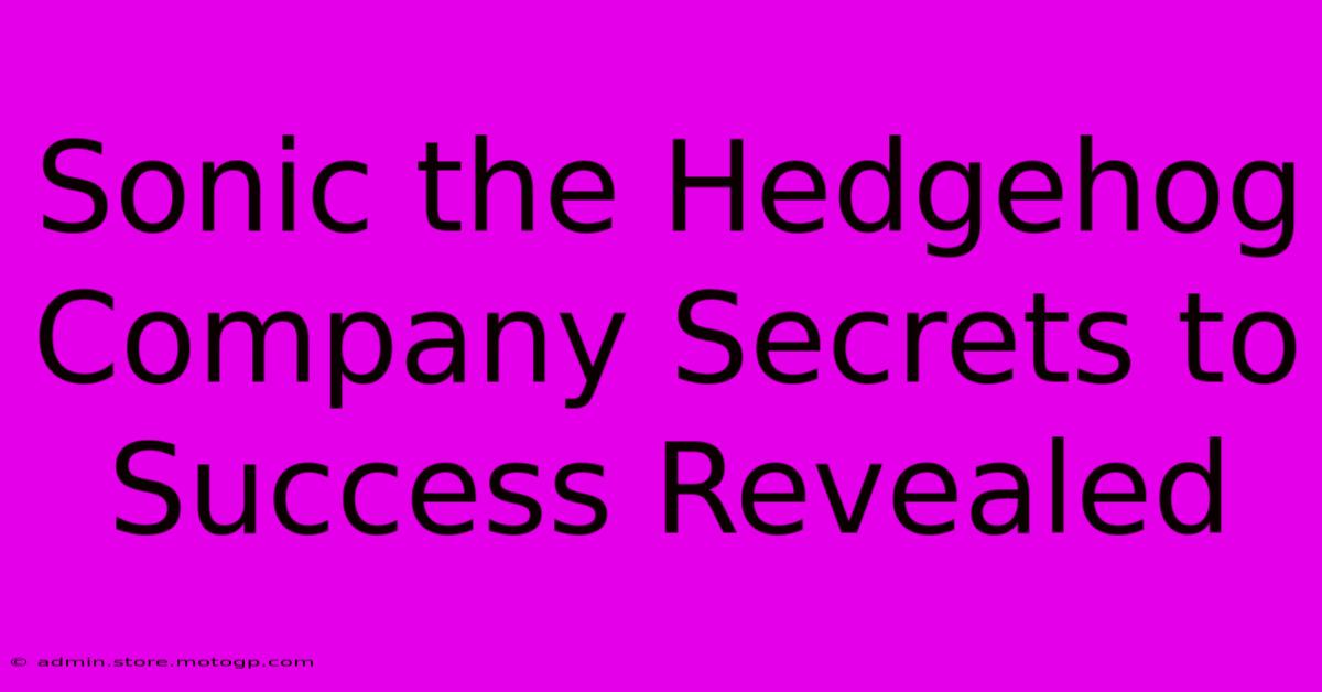 Sonic The Hedgehog Company Secrets To Success Revealed