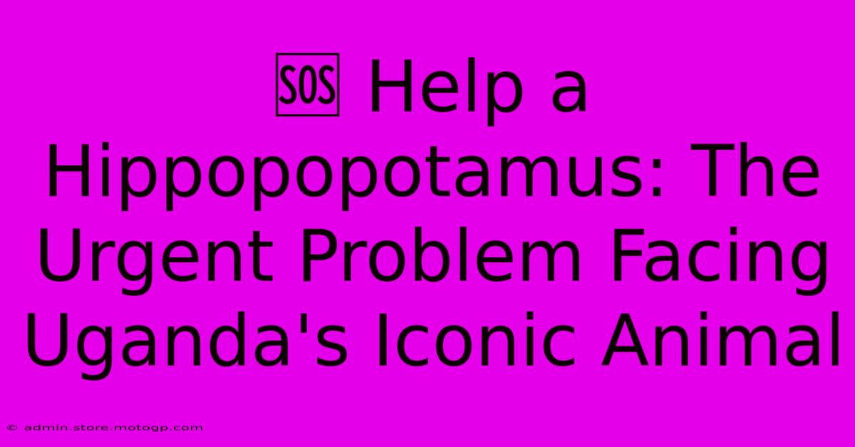 🆘 Help A Hippopopotamus: The Urgent Problem Facing Uganda's Iconic Animal