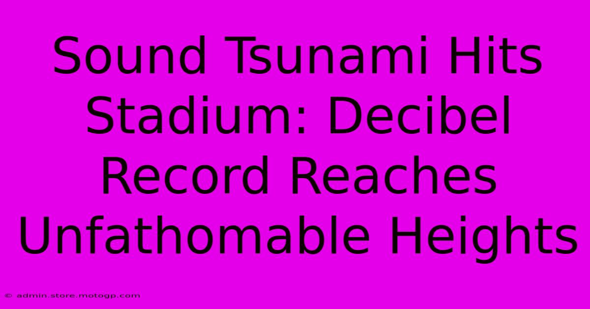 Sound Tsunami Hits Stadium: Decibel Record Reaches Unfathomable Heights