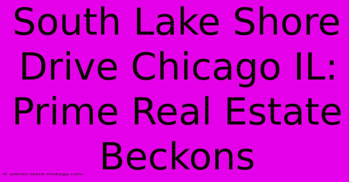 South Lake Shore Drive Chicago IL: Prime Real Estate Beckons