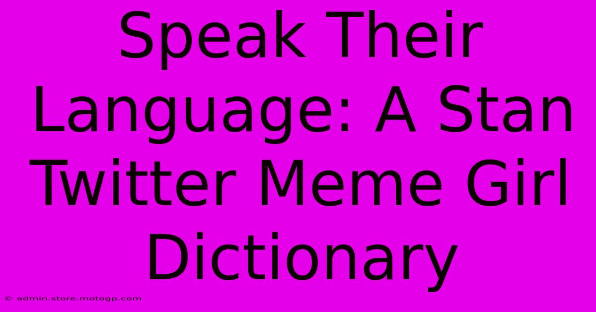 Speak Their Language: A Stan Twitter Meme Girl Dictionary