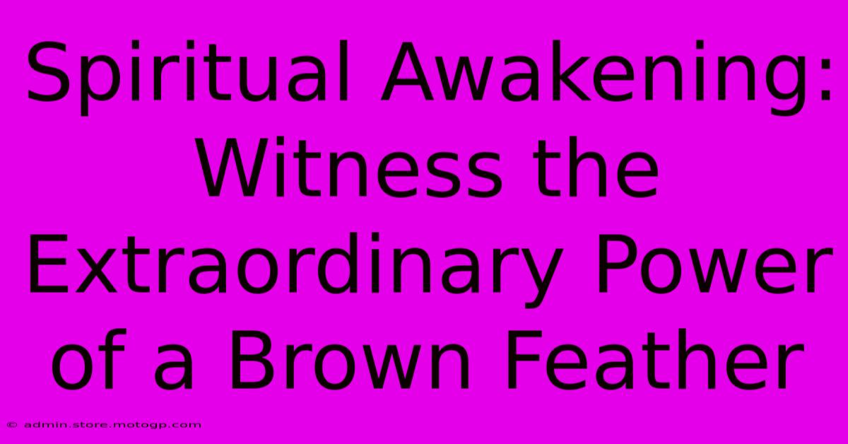 Spiritual Awakening: Witness The Extraordinary Power Of A Brown Feather