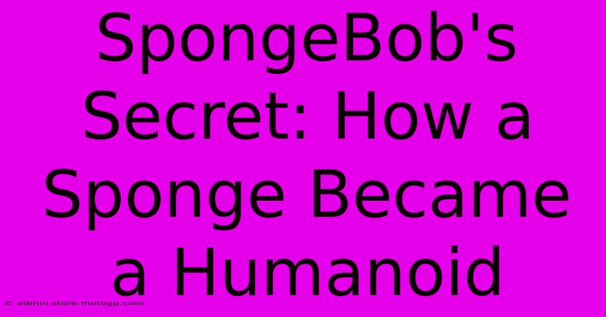 SpongeBob's Secret: How A Sponge Became A Humanoid