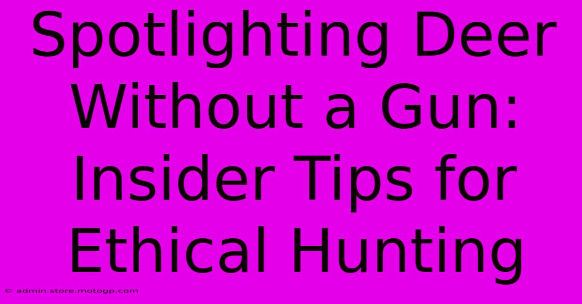 Spotlighting Deer Without A Gun: Insider Tips For Ethical Hunting