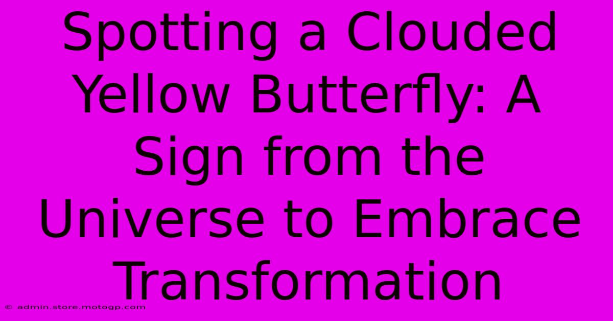 Spotting A Clouded Yellow Butterfly: A Sign From The Universe To Embrace Transformation